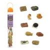 Anciens fossiles 4/5 cm - paléontologie 10 pièces