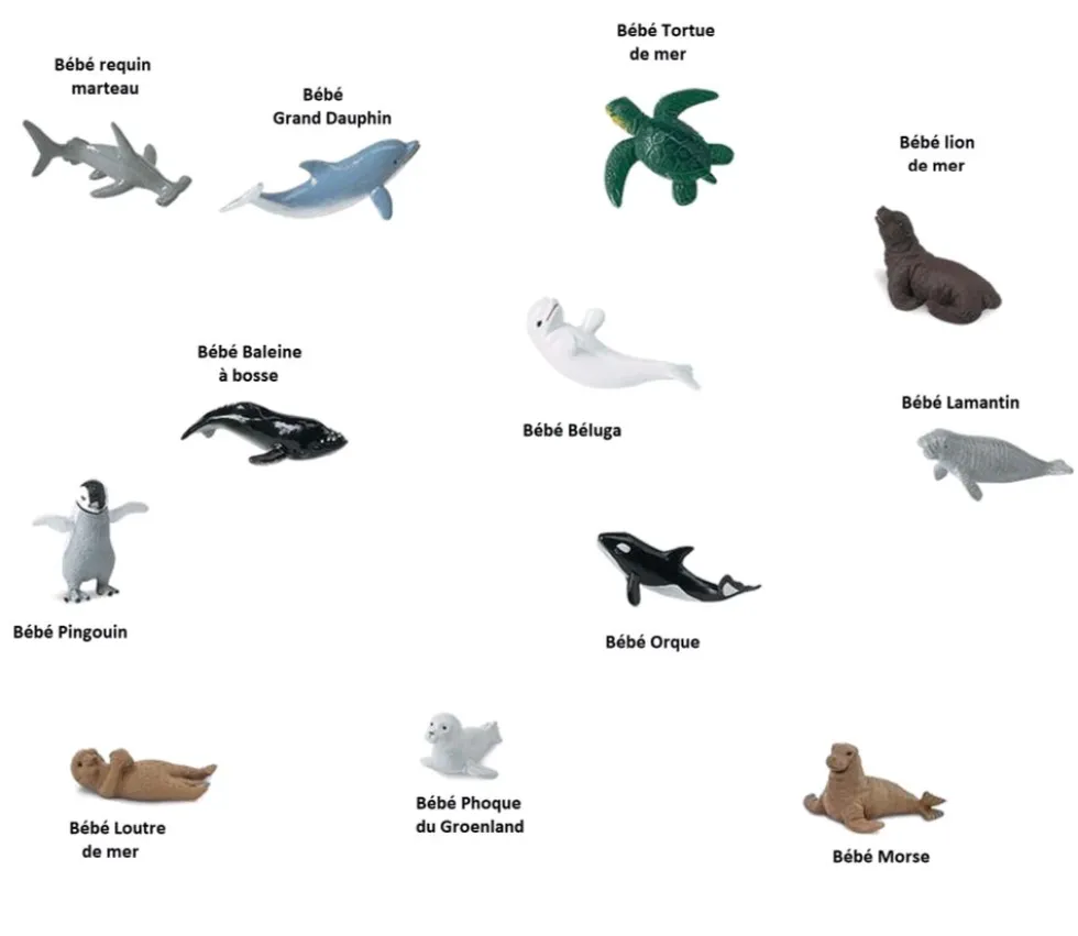 12 Animaux bébés animaux marins dans un tube de rangement