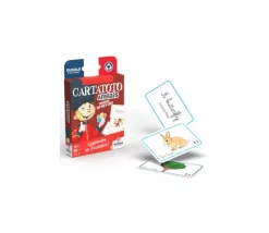 Cartatoto Anglais apprendre en s'amusant 110 cartes CP CE1 CE2