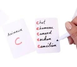 54 cartes blanches effaçables 59 x 91 mm