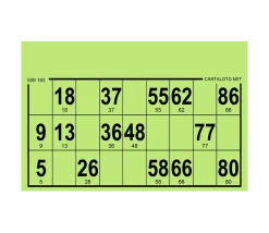 96 Cartons loto carton rigides format standard