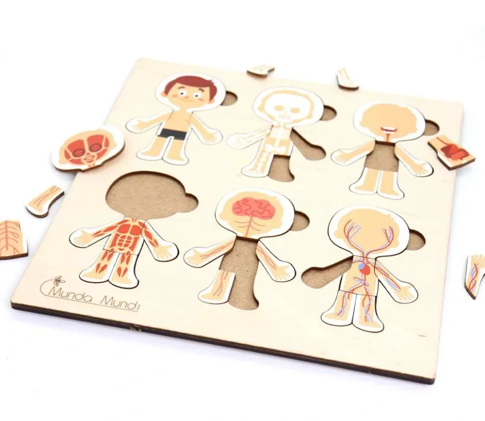 Corps humain découverte : 6 mini puzzles bois