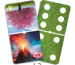 Domino merveilles de la nature