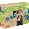 Domino nature : animaux en extinction