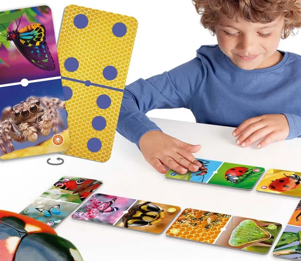 Domino nature : insectes