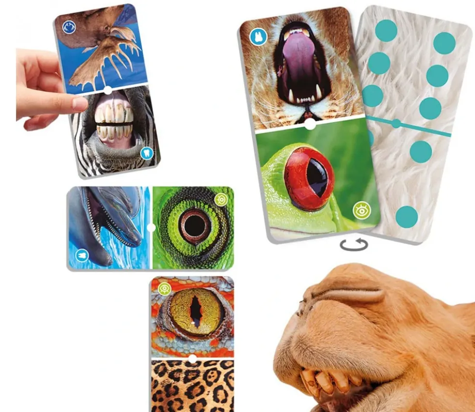 Domino nature : Zoom sur les animaux