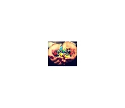 Figurine mini mini manchot empereur 30 x 10 x 15 mm