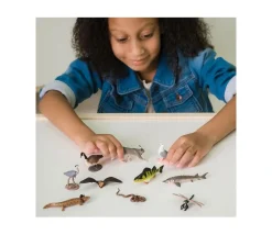 10 Figurines animaux des grands lacs