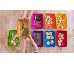6 grandes barquettes plateaux colorés Bioplastique 23 x 14.9 x 4 cm GM