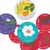 Huiles essentielles découverte - Jeu de mémo