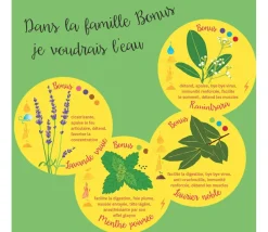 Huiles essentielles découverte - Jeu de mémo