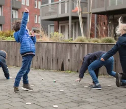 Jeu bois Les insectes - Mémo géant et recherche active