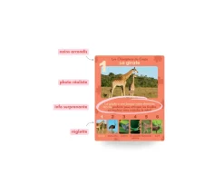 Jeu de 7 familles - Les Animaux Rigolos - ANIMAUX