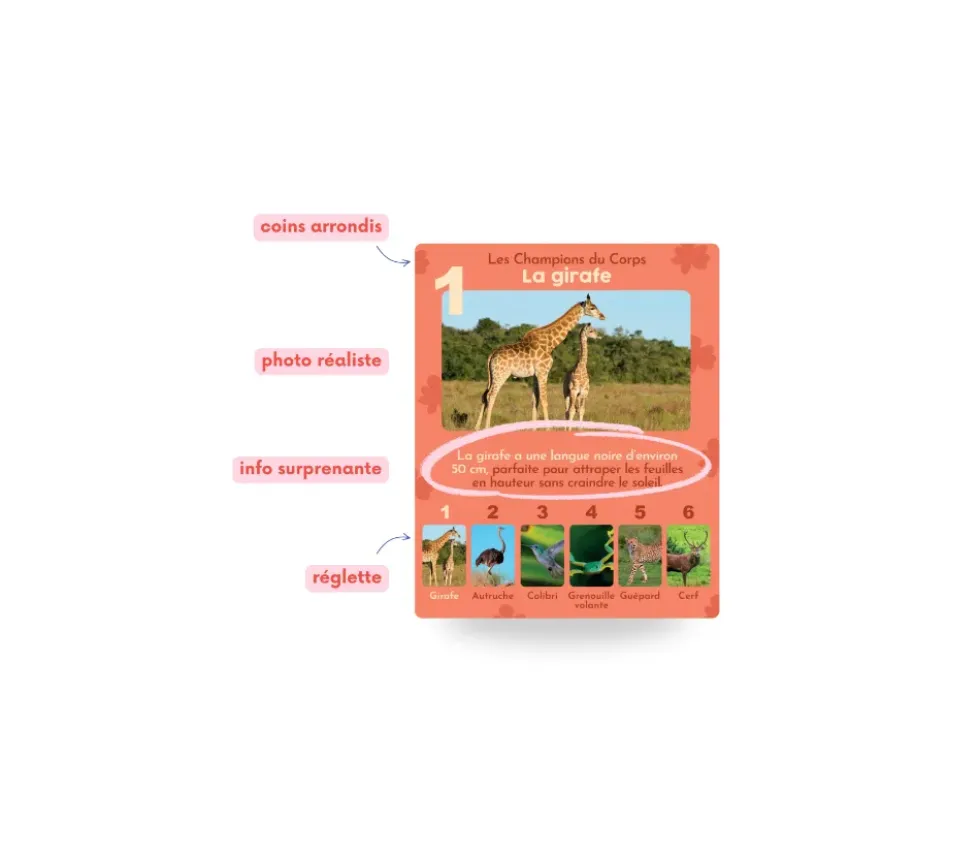 Jeu de 7 familles - Les Animaux Rigolos - ANIMAUX