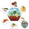 Jeu d'où viennent les aliments ?