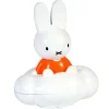 Nuage de pluie Miffie jeux d'eau, jouet de bain