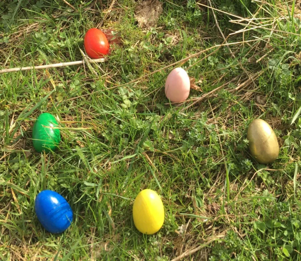 Oeuf en bois coloré de 6 cm à l'unité