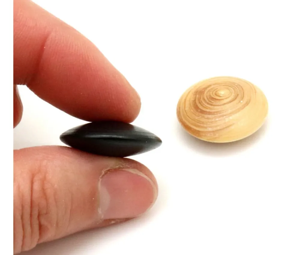 Palet galet 2.3 cm buis noir pour jeu de go unité