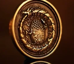 20 Pièces en métal Forged dragon