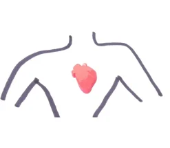 Pion Coeur humain bonne santé et malade en bois