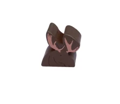 Pion Elan en bois 15 x 15 x 10 mm
