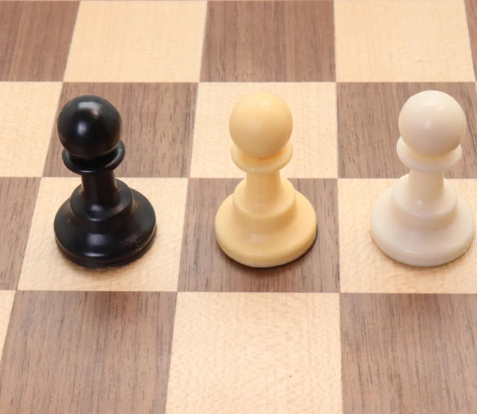 Pion en plastique 37 x 22 mm pour jeu à l'unité