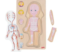 Puzzle corps Humain fille - 5 puzzles bois à étage anatomie
