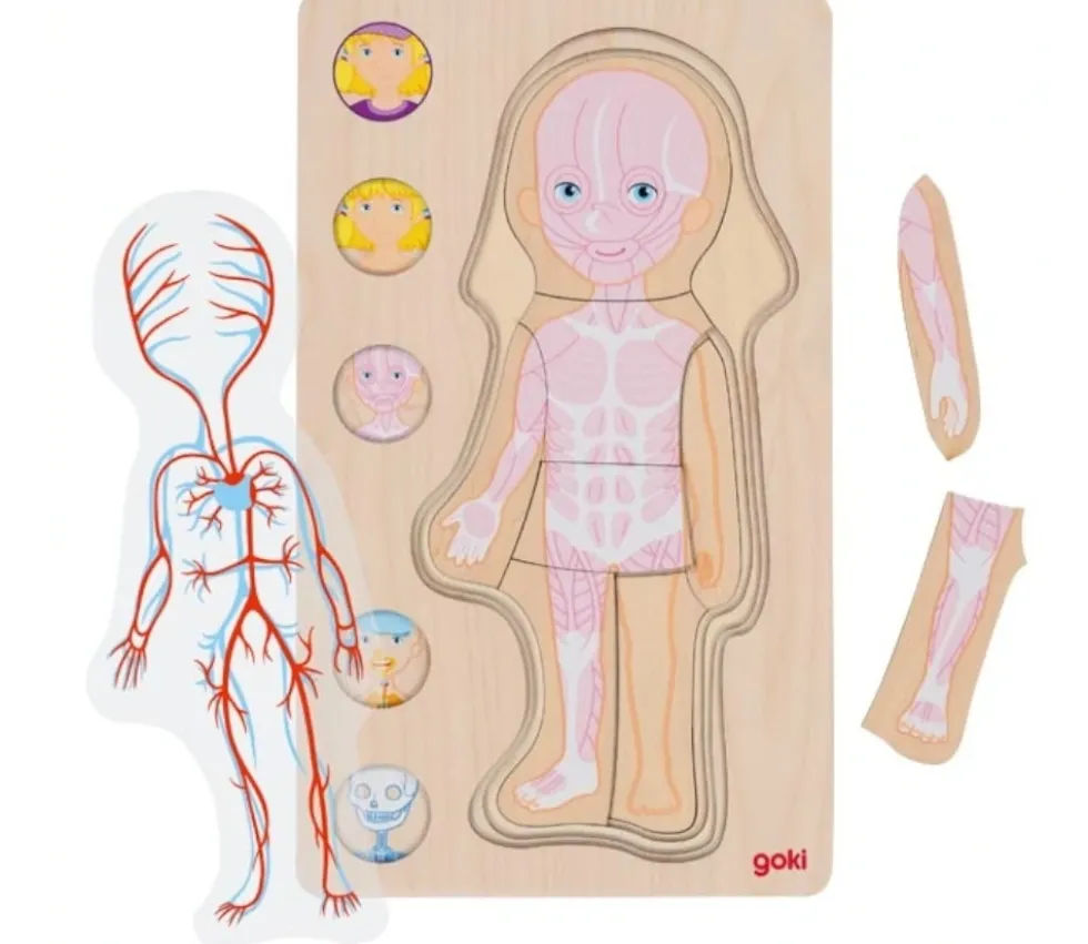 Puzzle corps Humain fille - 5 puzzles bois à étage anatomie