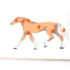 Puzzle en bois cheval - 7 pièces à boutons à encastrer