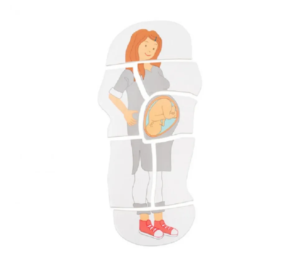 Puzzle J'attends un bébé en bois - grossesse : 9 mois dans le ventre