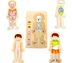 Puzzles anatomie garçon - 4 puzzles à étage
