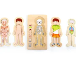 Puzzles anatomie garçon - 4 puzzles à étage