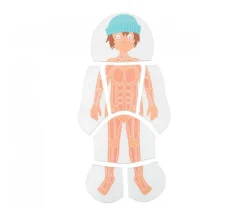 4 puzzles à étage - anatomie garçon de 28 pièces