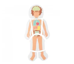 4 puzzles à étage - anatomie garçon de 28 pièces