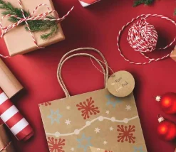 24 Sacs cadeau Noël kraft avec anse à garnir